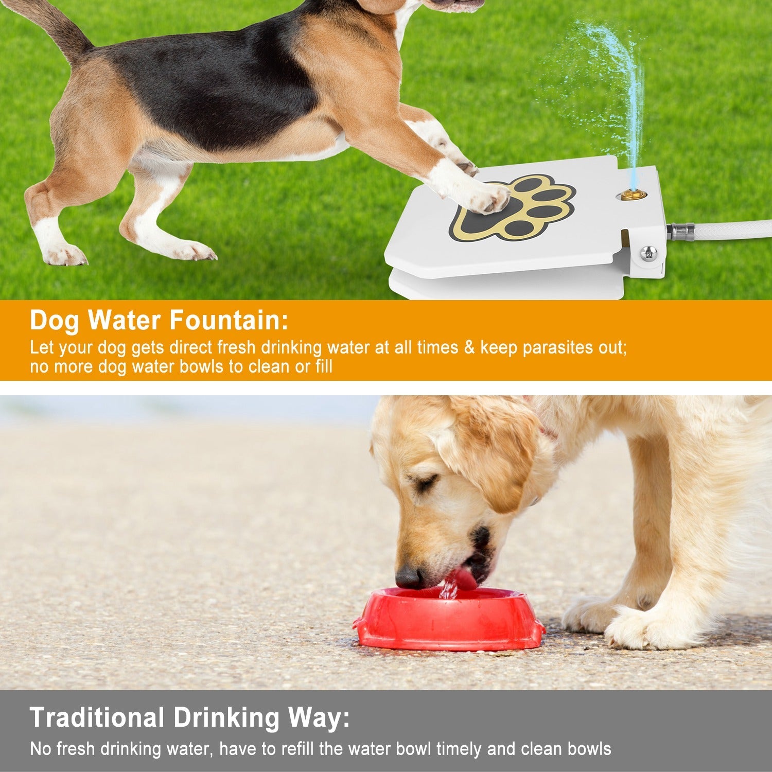 Fontaine à eau à pédale pour chiens de luxe