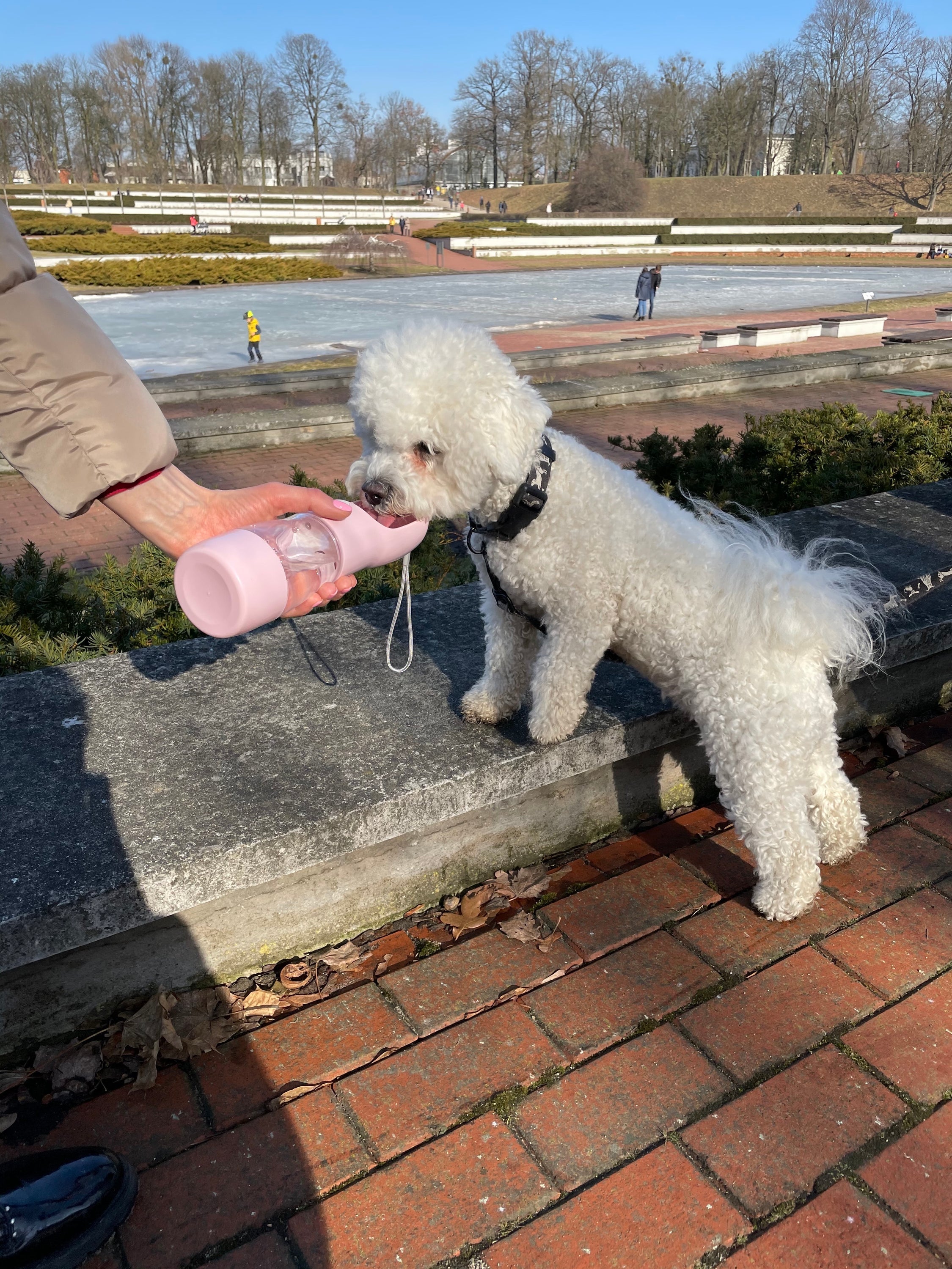 Fontaine à eau et distributeur de croquettes deux en un