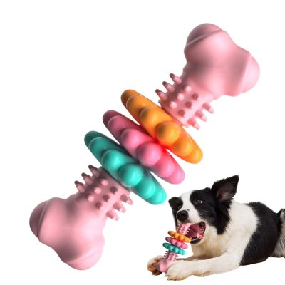Os à mastiquer multicolore pour chiens