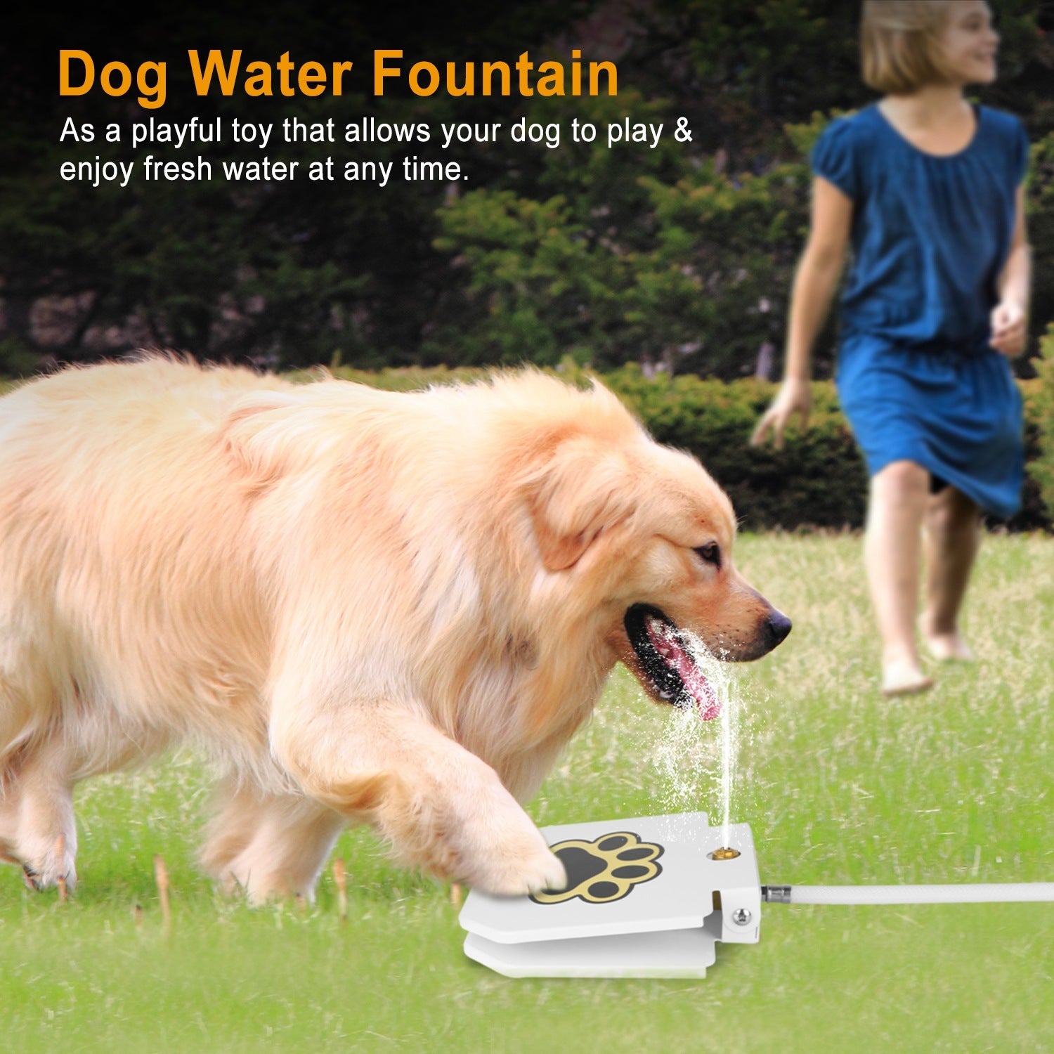 Fontaine à eau à pédale pour chiens de luxe