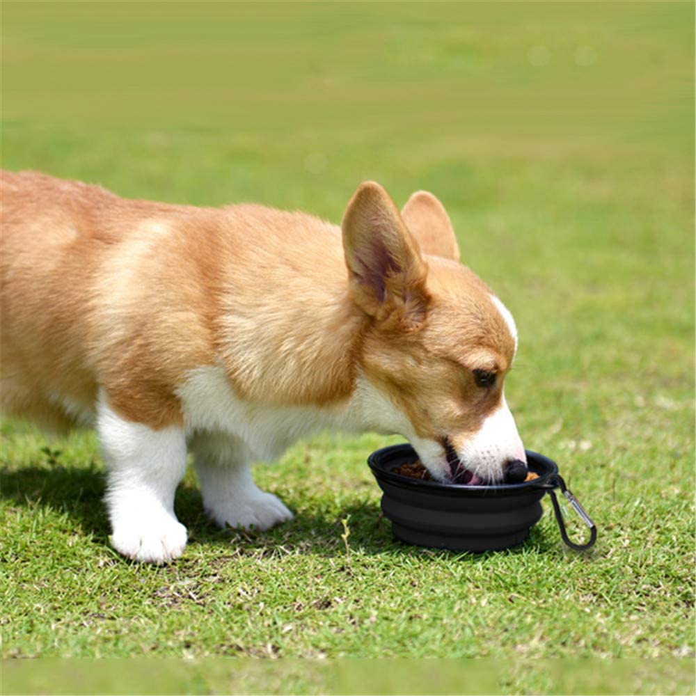 Gamelle pour chiens portable