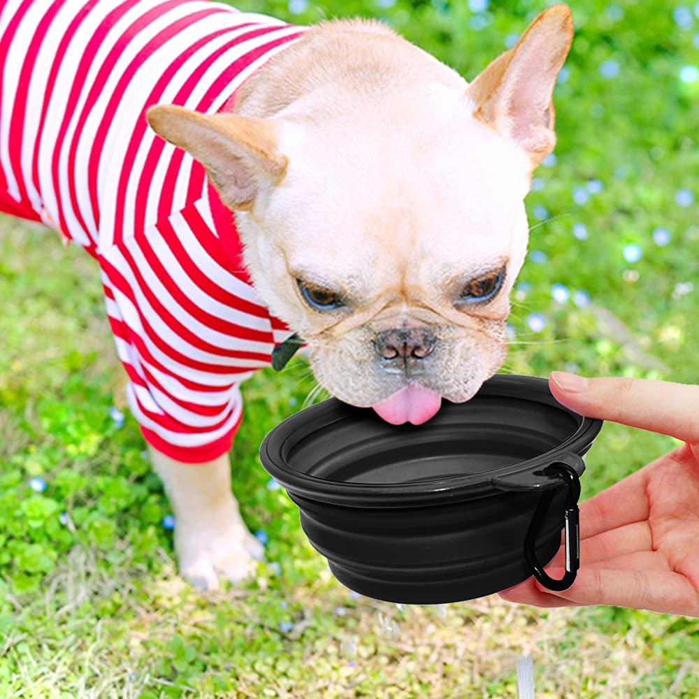 Gamelle pour chiens portable