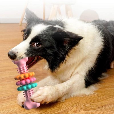 Os à mastiquer multicolore pour chiens